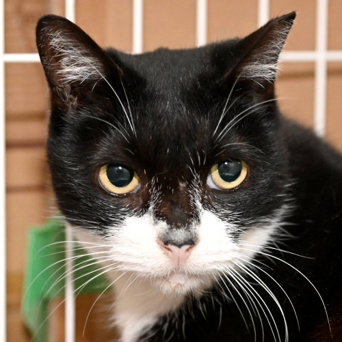 家族紹介用画像フォルダ