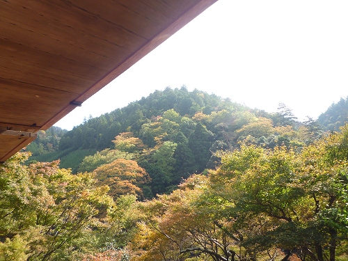 P1030410.jpg