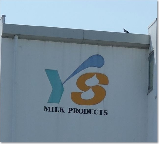 99YS MILK PRODUCTSR