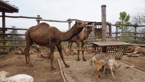 20150420 12092902.JPG