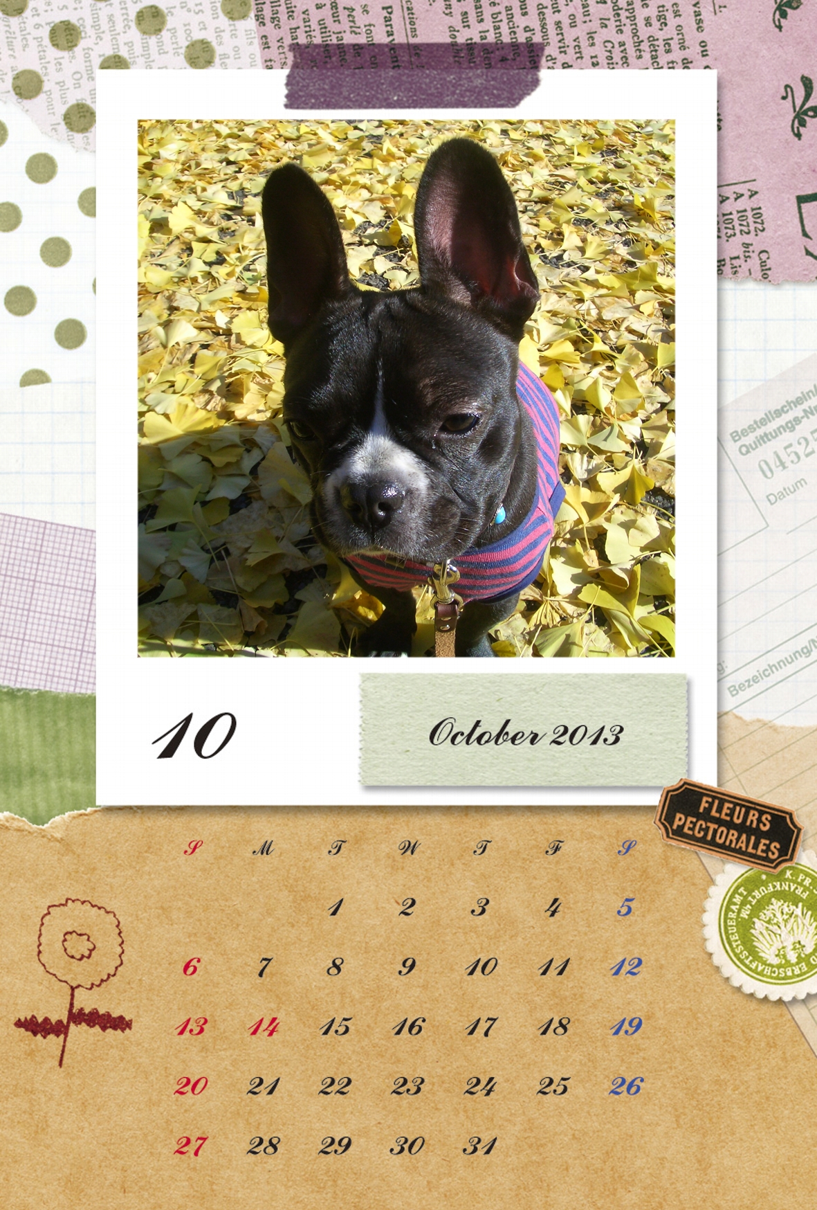 JPGだいずず10月.jpg