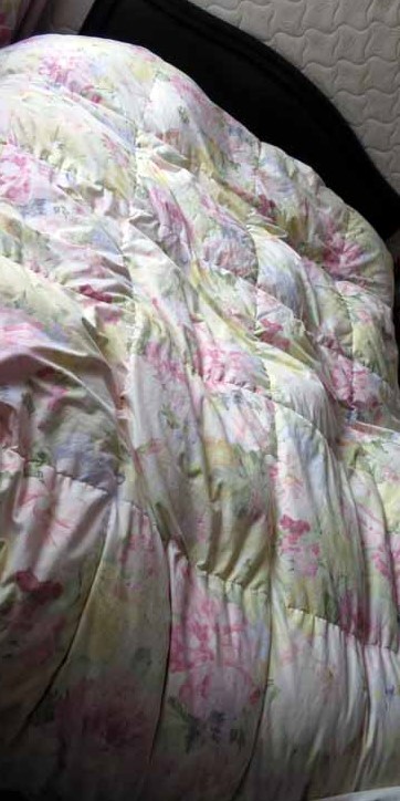 IMG_0197.JPG