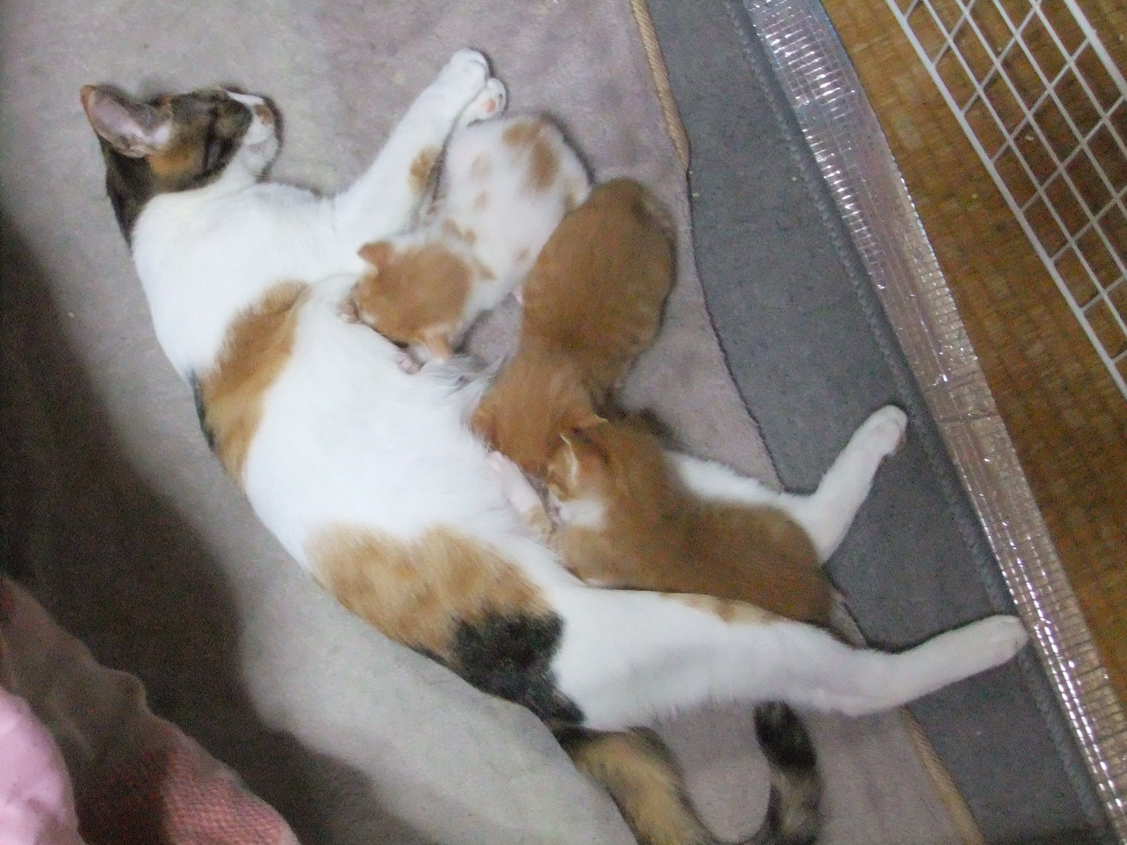 DSCF7031.JPG