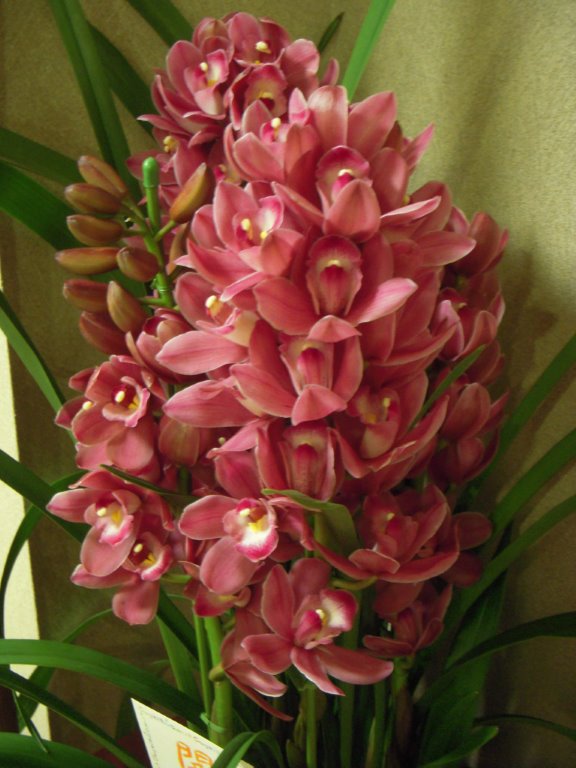 DSCN6146.jpg