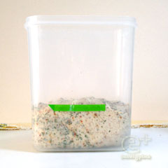 130211 さらにスパイシーな ふすま入り山型食パン -一次発酵開始時