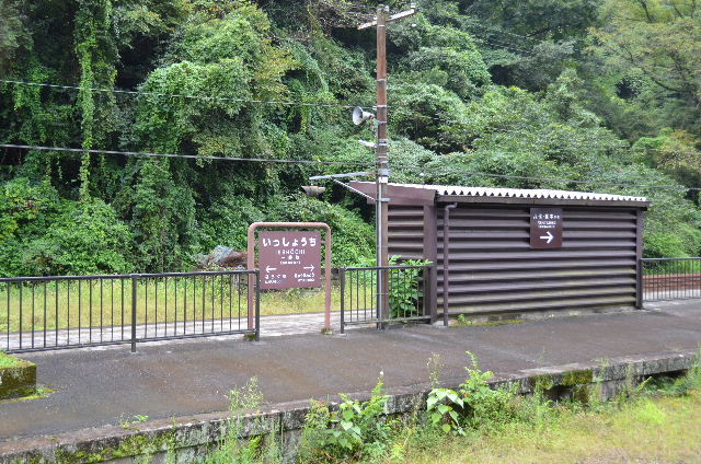 DSC_9556.JPG