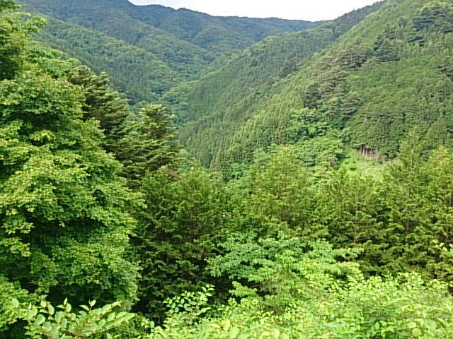 DSC_0112.jpg