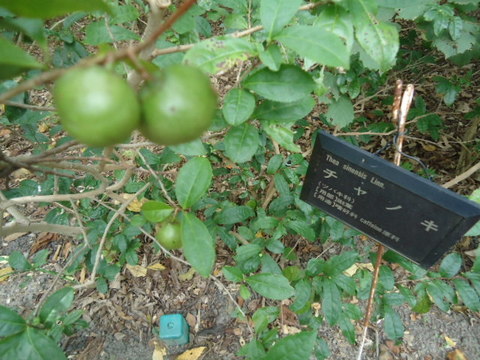 160.JPG