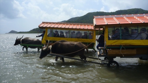 20150223 12485301.JPG