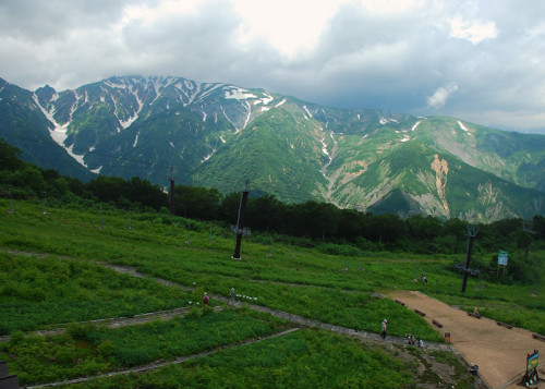 白馬五竜高山植物園 コマクサ | フォト安次郎・安らぎの風景 - 楽天ブログ