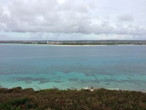 IMG_4024.jpg