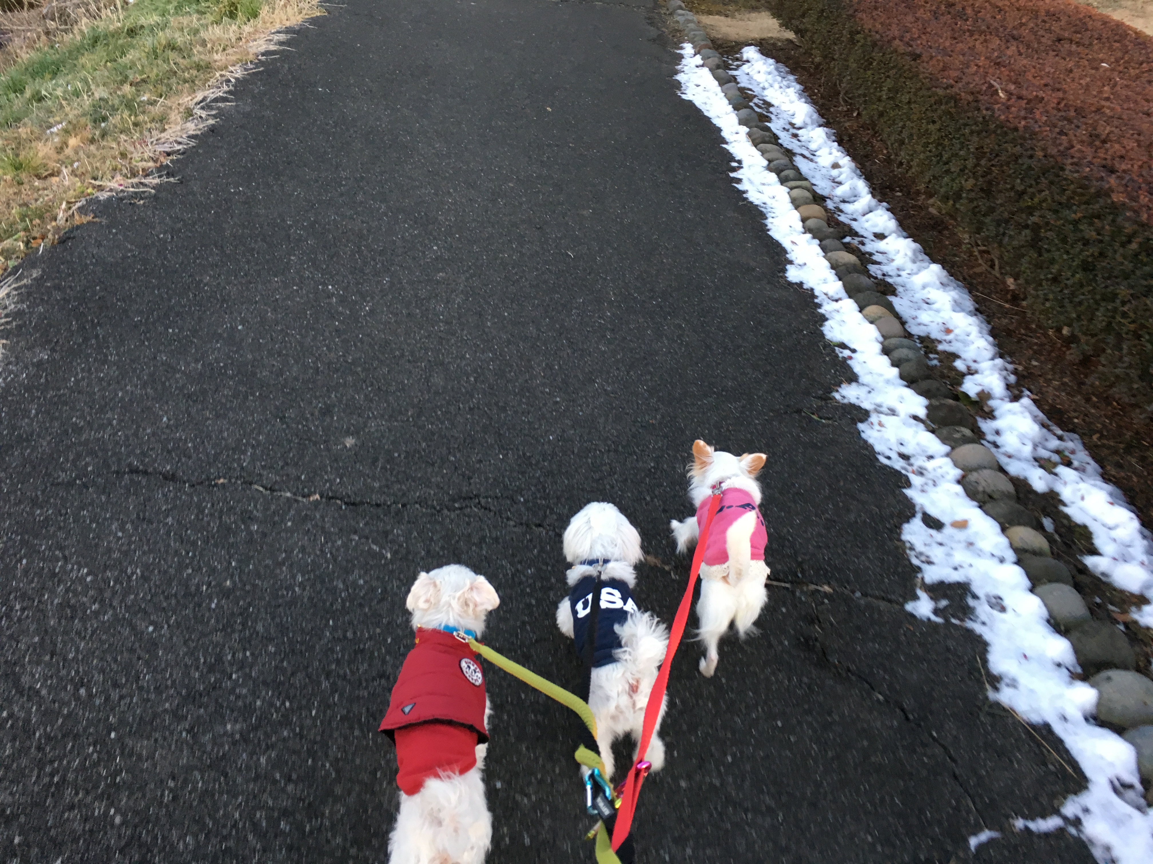 201601191923_8264_iphone.jpg