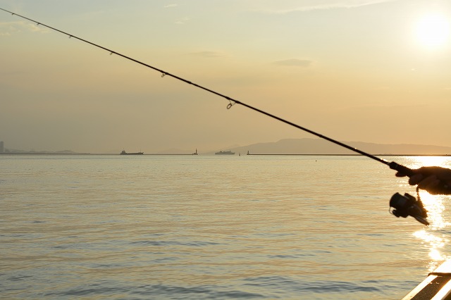 showPhoto (640×426)