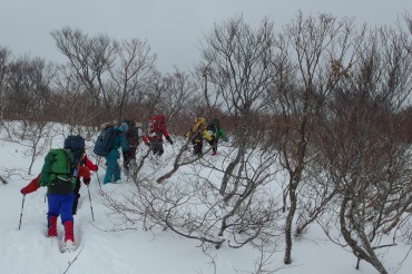 151231-08.jpg