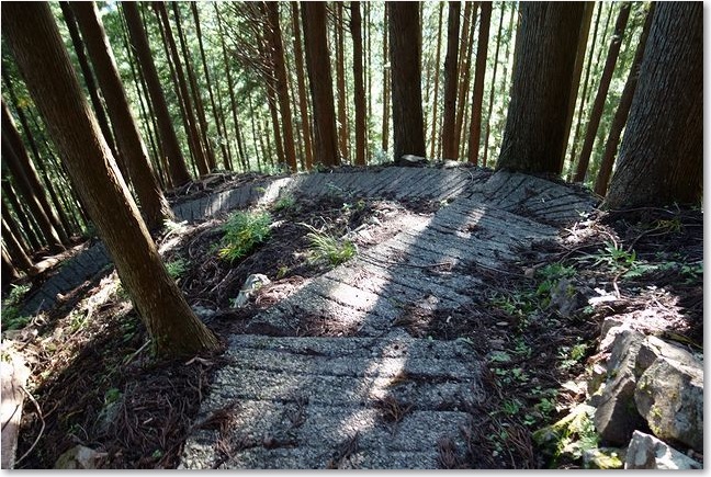 115急カーブもあります