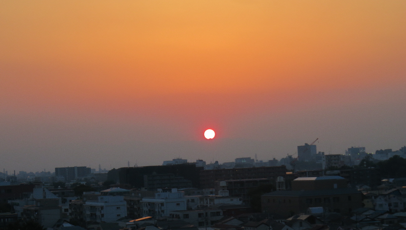 IMG_3163.JPG