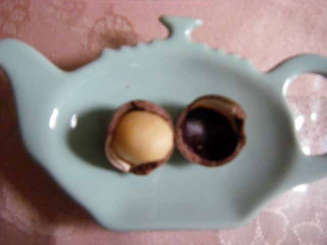 マカデミアナッツ (1).JPG