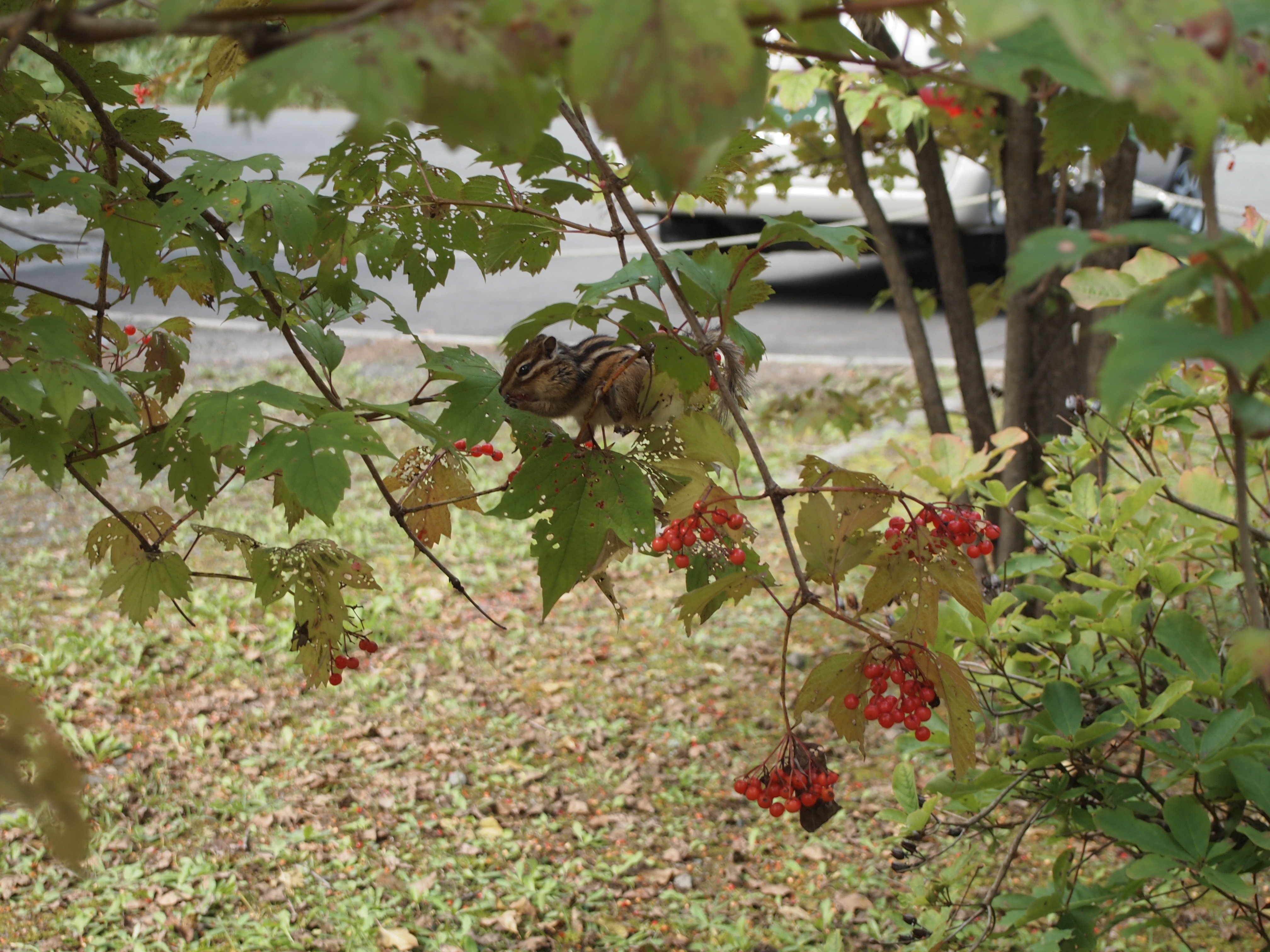 PA030401.JPG