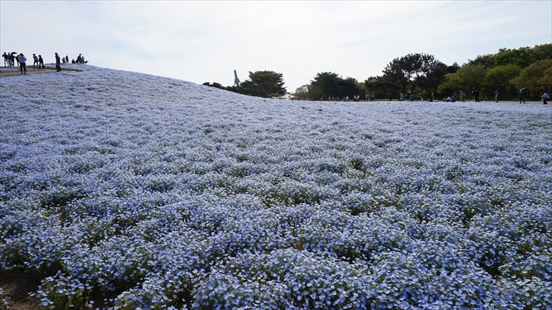 20150430 08034401.JPG