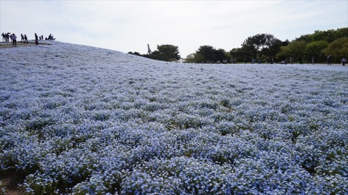 20150430 08034401.JPG