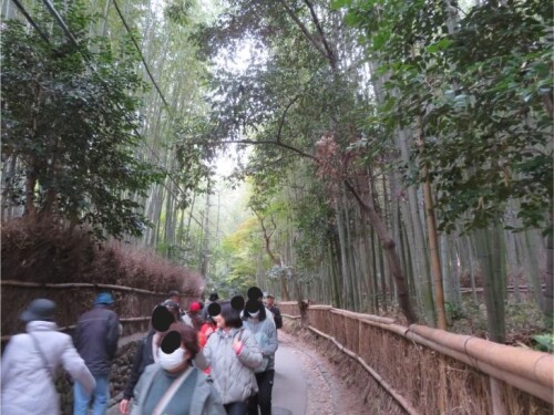 嵐山 竹林 (2).jpg