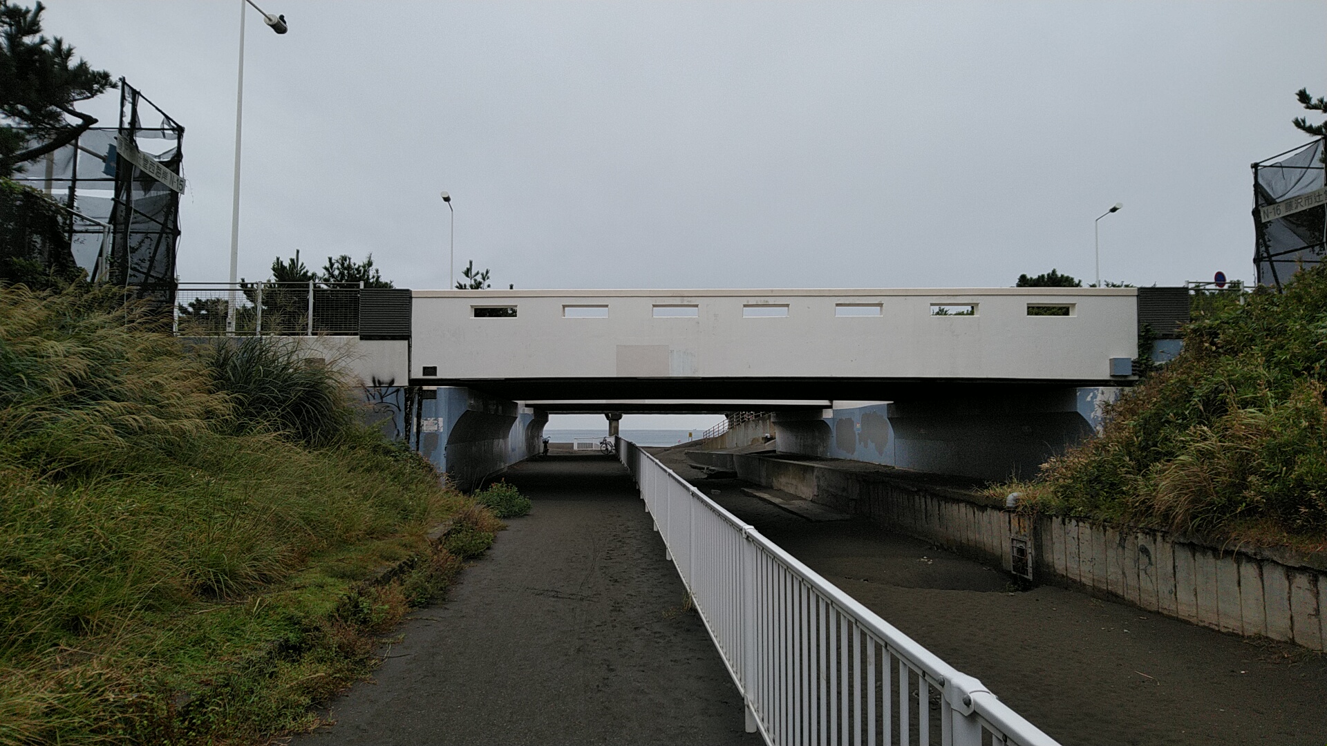 20221010  DSC_0001.jpg