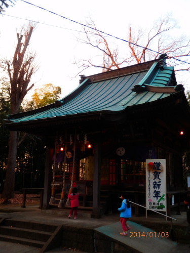 P1030046b20140103.jpg