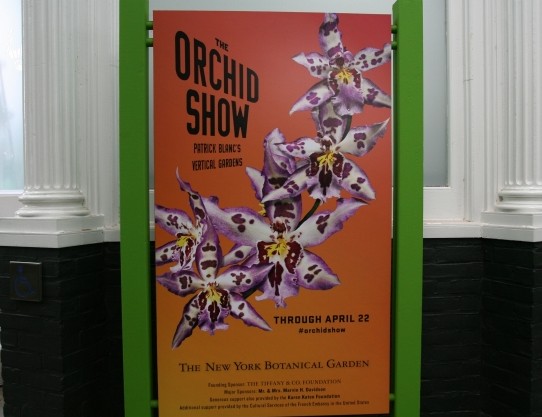 2012オーキッドショウ3.jpg