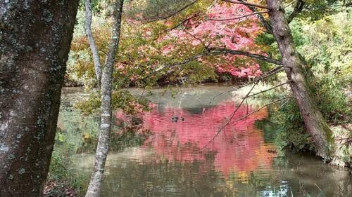 八十八か所お山めぐり (6).jpg