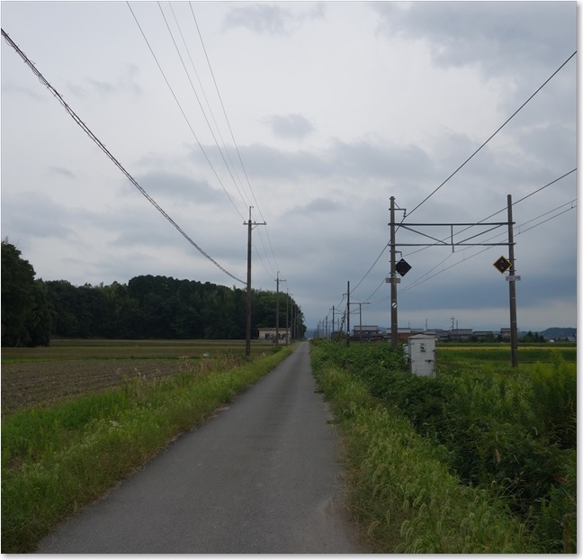 20線路沿いに・
