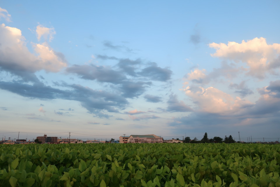 IMG_0805  s.JPG