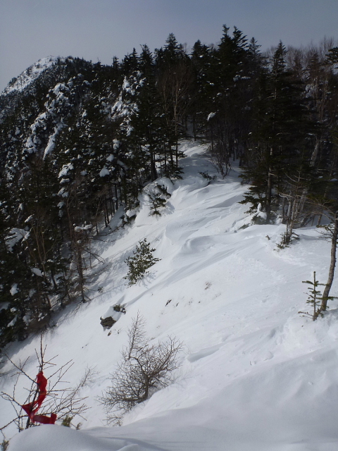 C:\fakepath\水ノ塔山、篭ノ塔山201401253.jpg