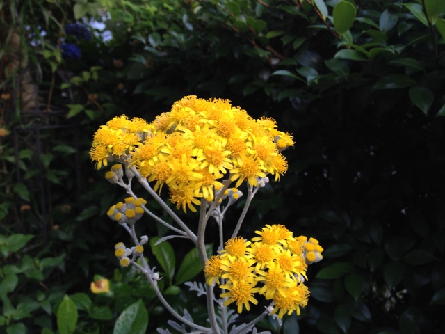 IMG_0468 (640x480).jpg