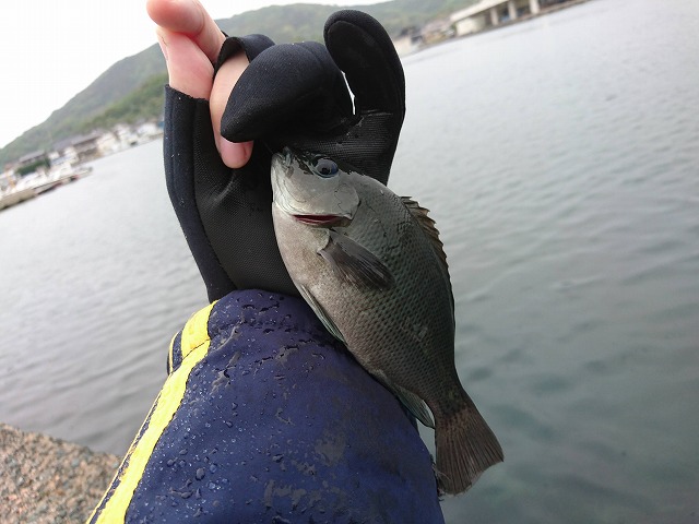 showPhoto (640×480)