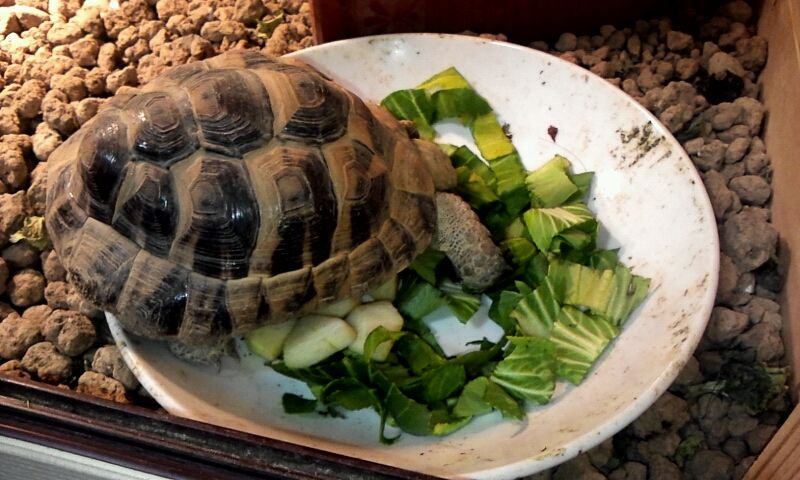2012_02_28_09_48_02.jpg