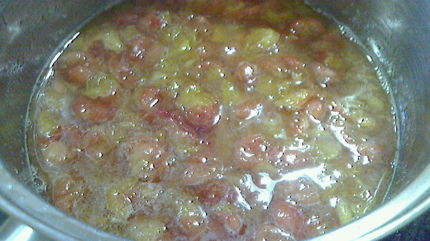 NEC_0021.JPG