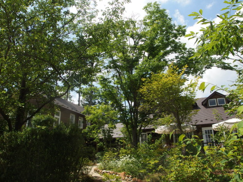 2015-06-10 12.44.10.jpg