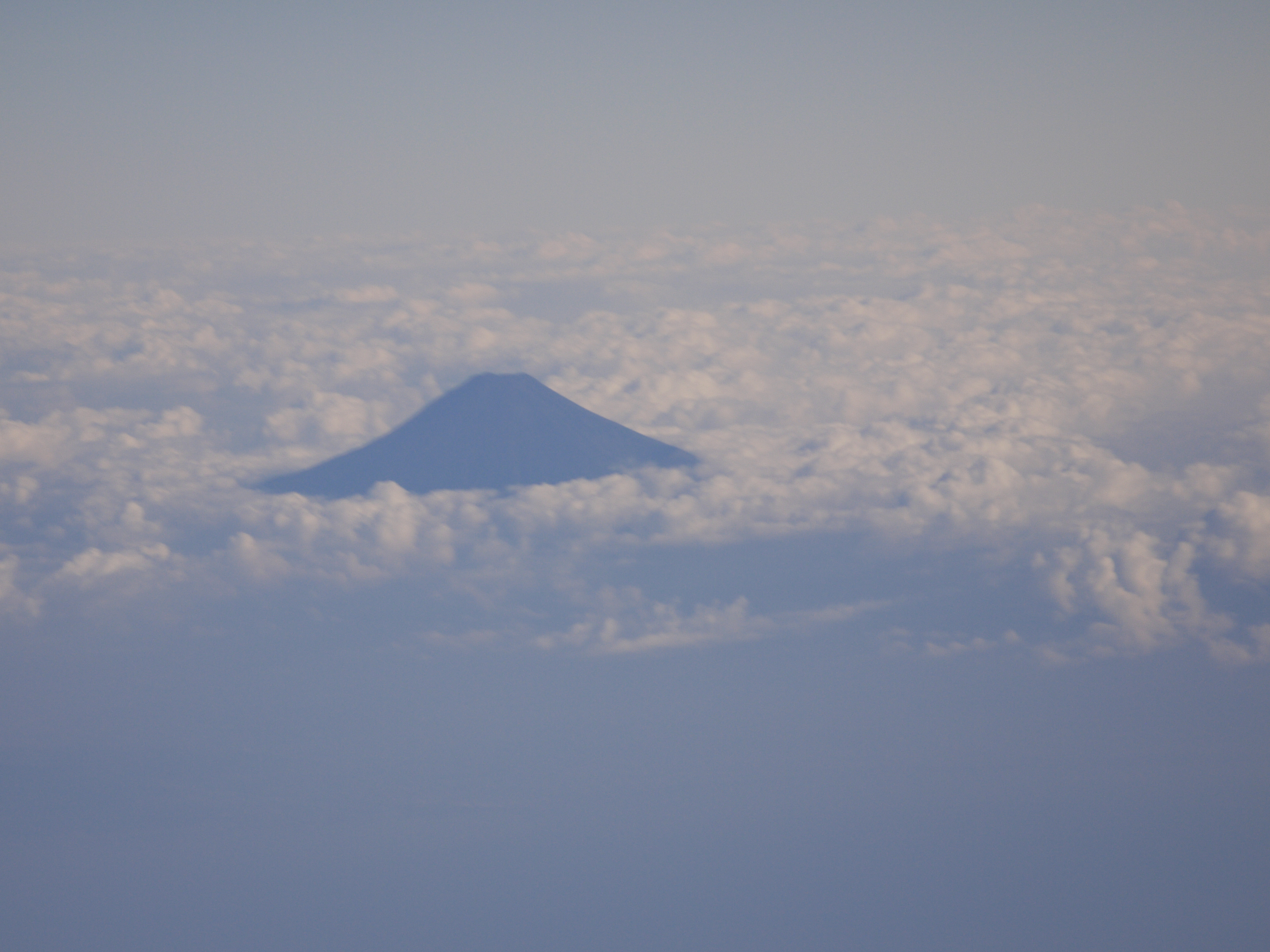 時間帯かイマイチ