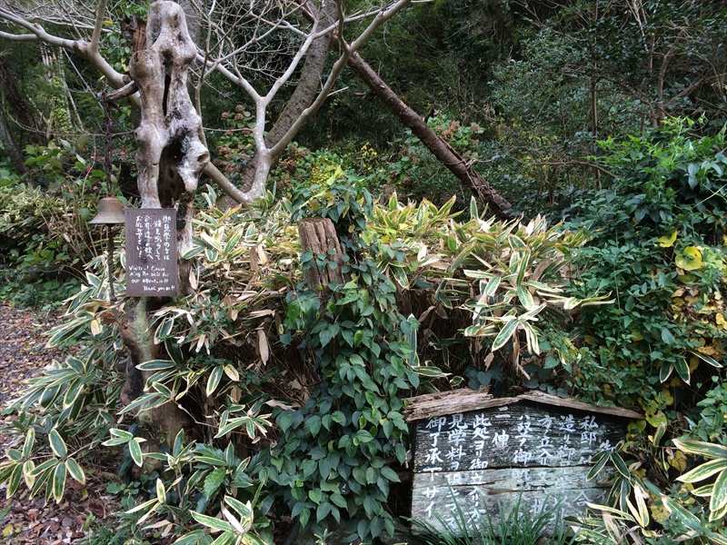 20141126 11404201.JPG