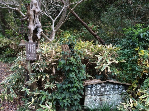 20141126 11404201.JPG