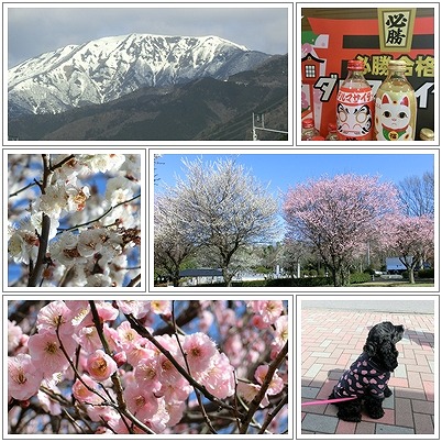 名古屋２.jpg