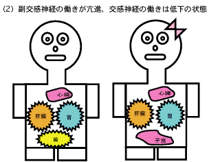 部分と全体 内臓同士の関係 快風身体均整院 楽天ブログ