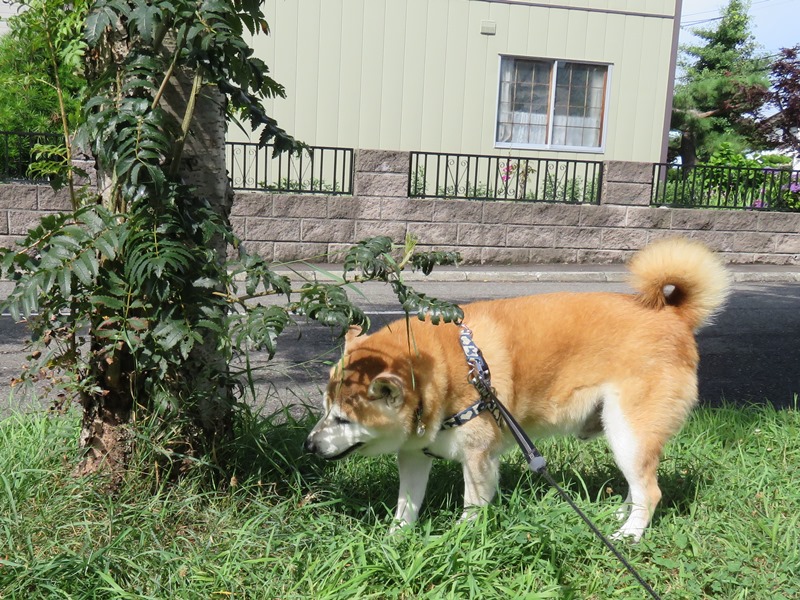 3美味しいかも.jpg