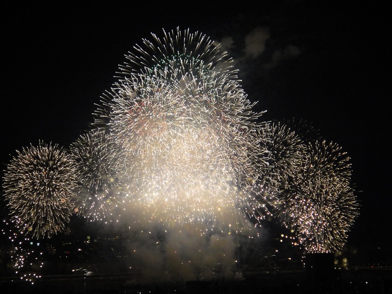 淀川花火大会2015_大輪白.JPG