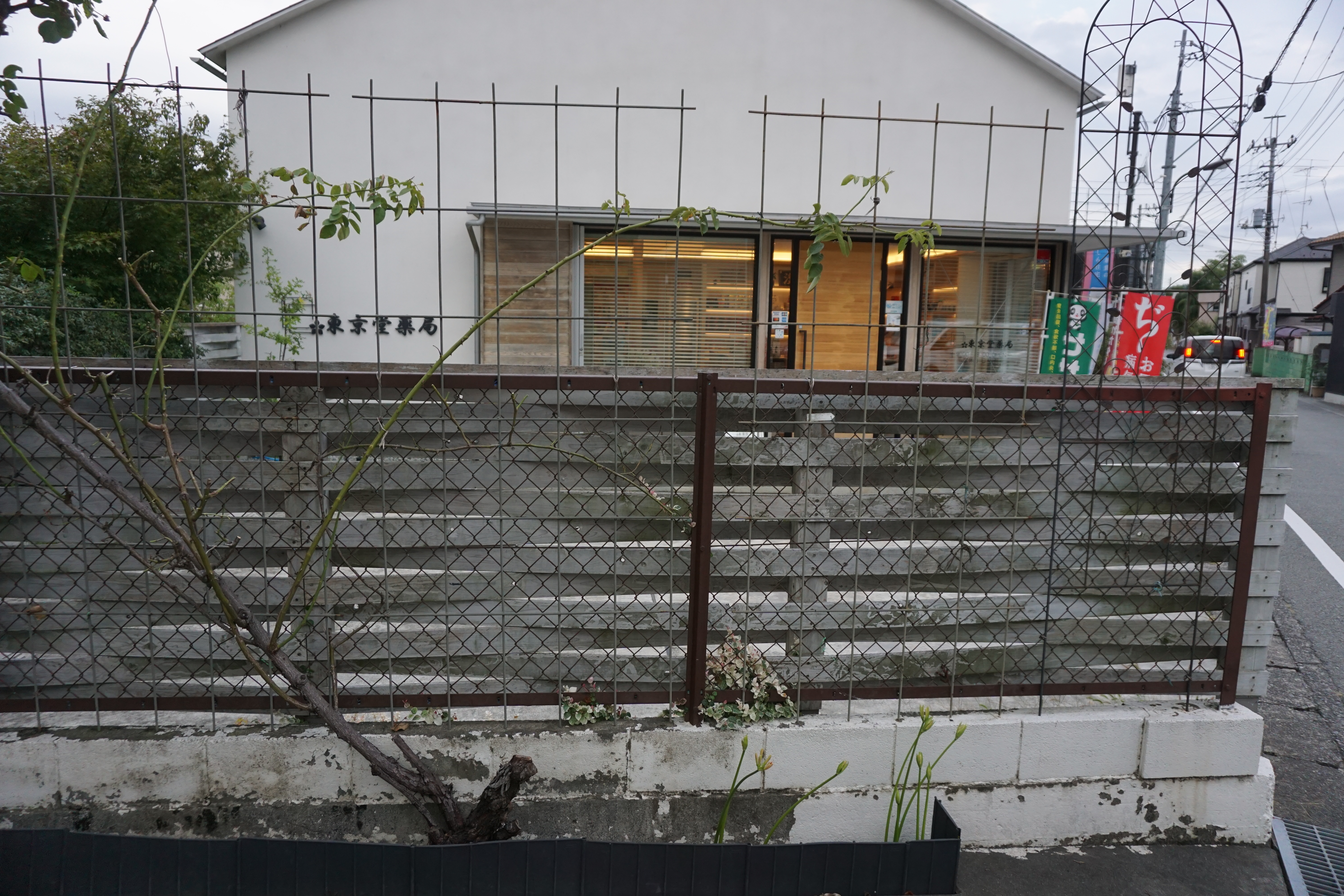 2023年10月1-1.JPG