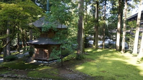 20150915 08525601.jpg