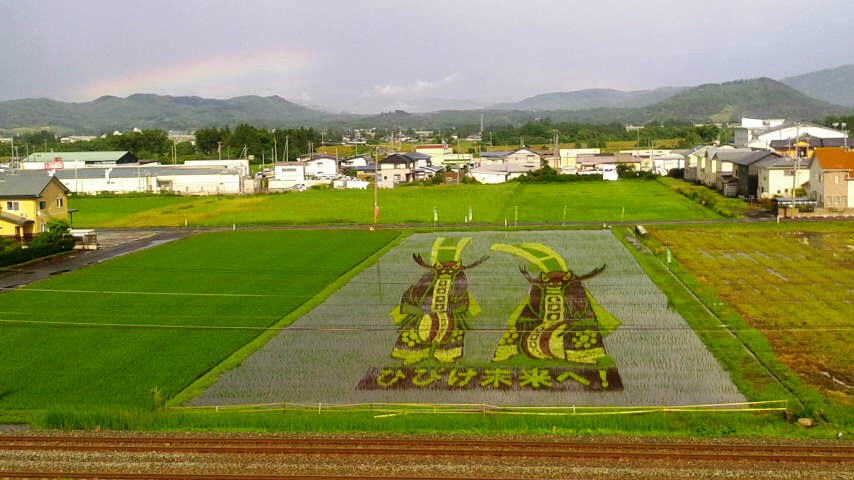 田んぼアート.jpg