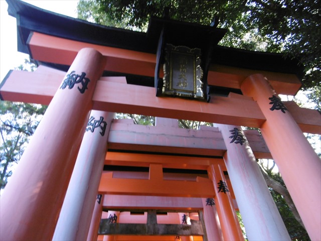P1270265.JPG