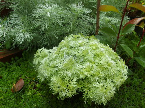 2015-06-24 08.40.16.jpg