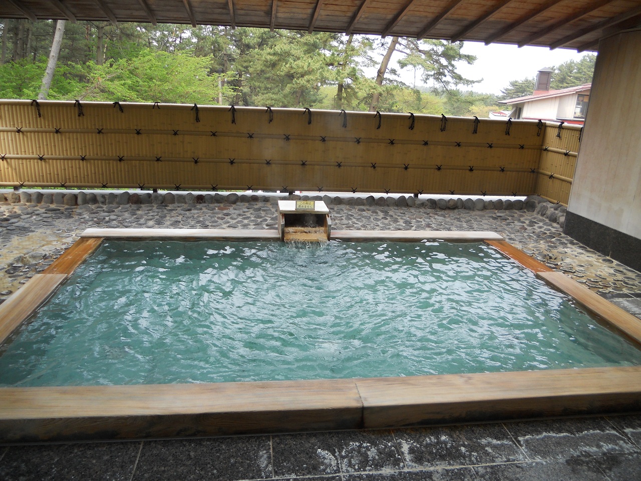 DSC_2811.JPG